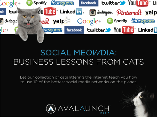 business-lessons-cat