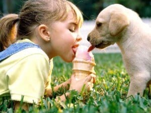dog licks ice cream
